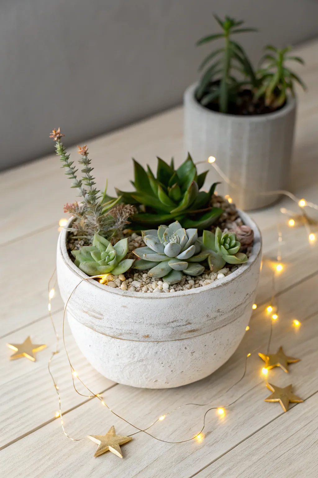 Craft your own seasonal charm with a themed succulent garden—perfect for gifting a touch of nature.