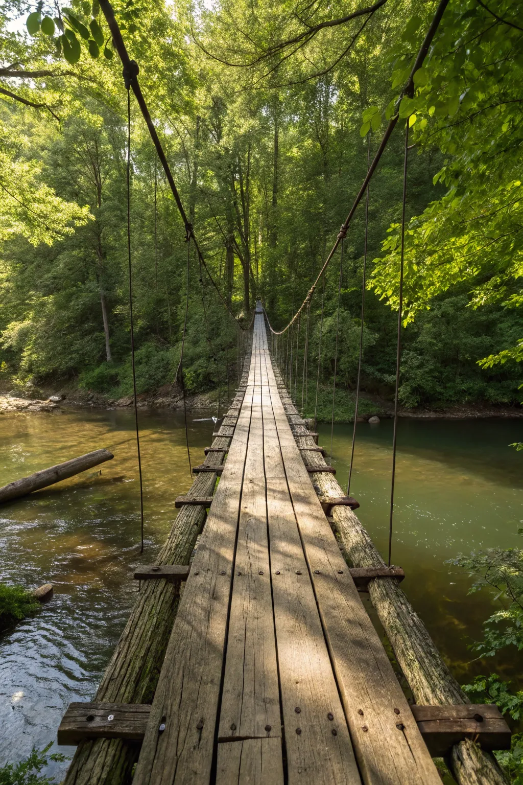 Experience the art of balance with this suspended log bridge, a masterpiece of craftsmanship that seems to defy gravity over a tranquil creek.