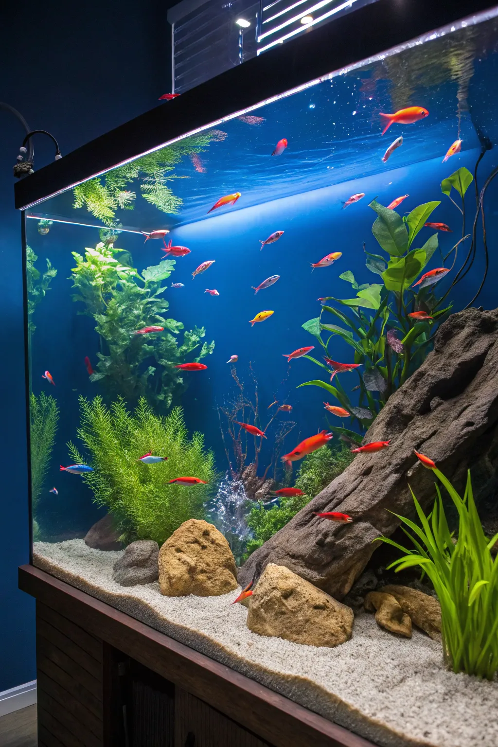 Dive into the artistry of a colorful community tank, where nature paints with vibrant hues.