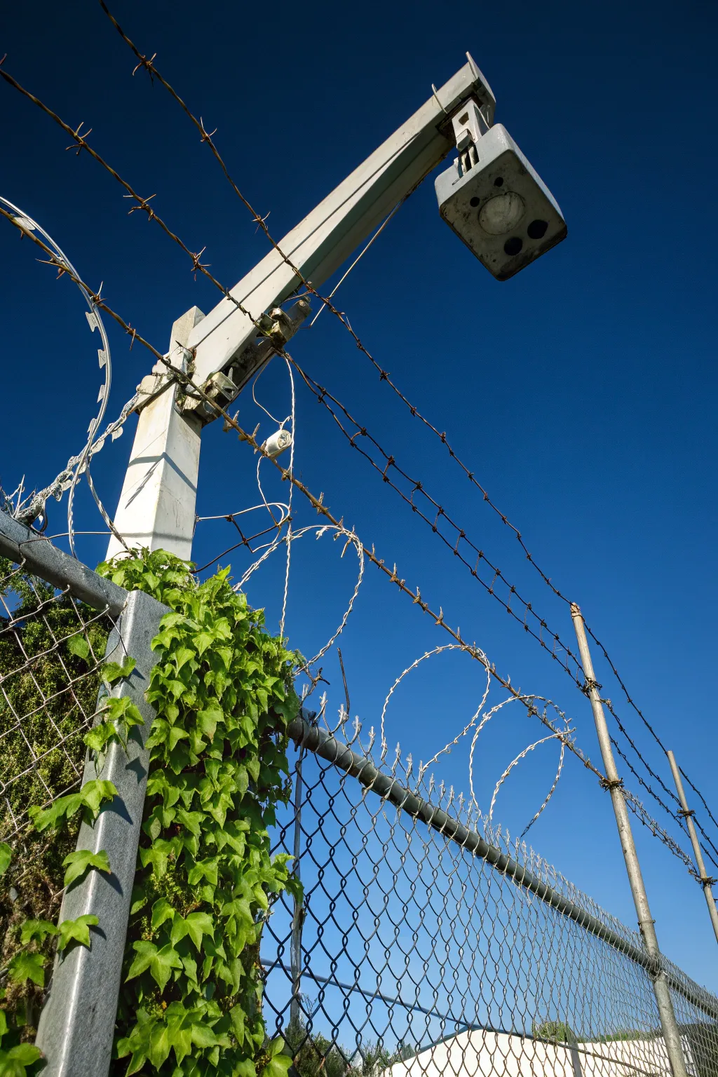 Elevate your fence with the versatile 'Extend-an-Arm' for a blend of security and natural beauty.