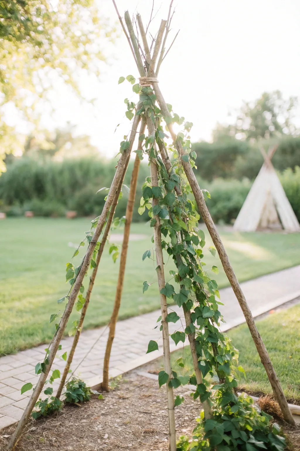 Elevate your garden with this elegant teepee trellis, where natural beauty meets minimalist design.