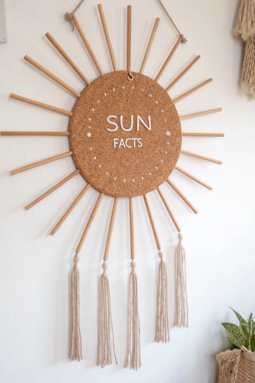 Illuminate your mind with sun facts: a blend of learning and beauty.